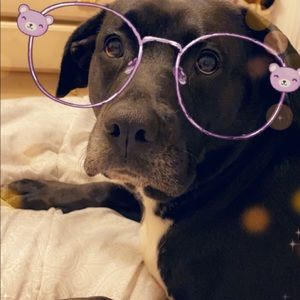 Meet your Posher, Emma